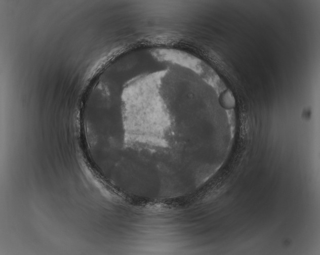 X0000116580634200912312015