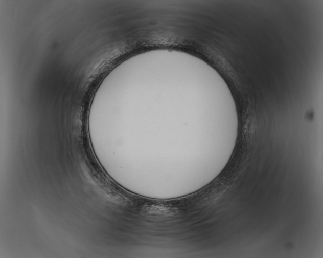 X0000116580635200912312015