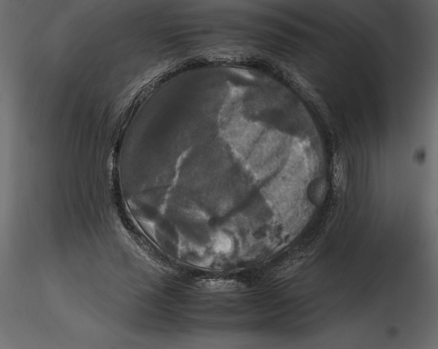 X0000116580637200912312015