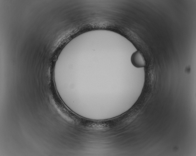 X0000116580638200912312015