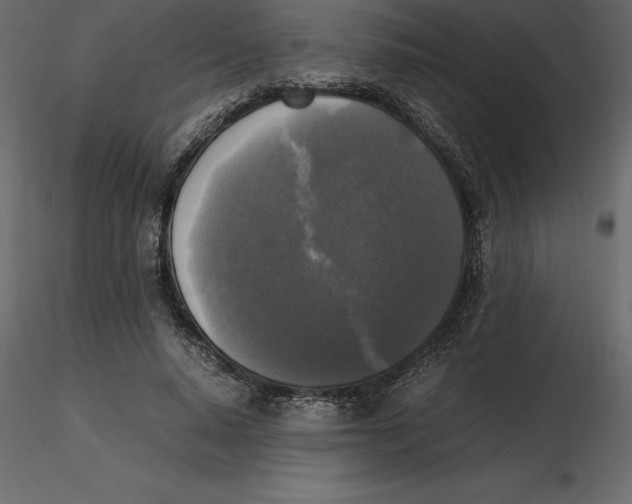 X0000116580640200912312015