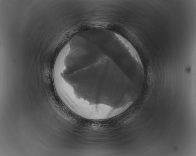 X0000116580641200912312015