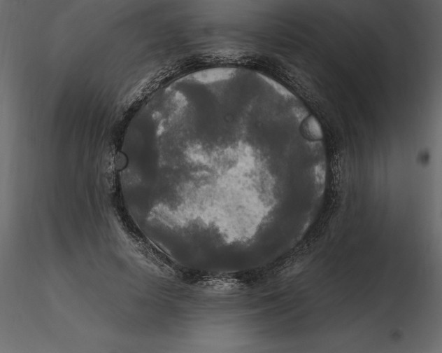 X0000116580642200912312015