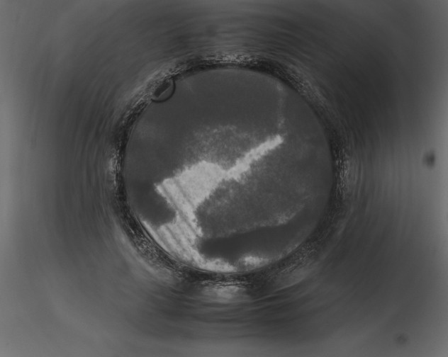 X0000116580643200912312015