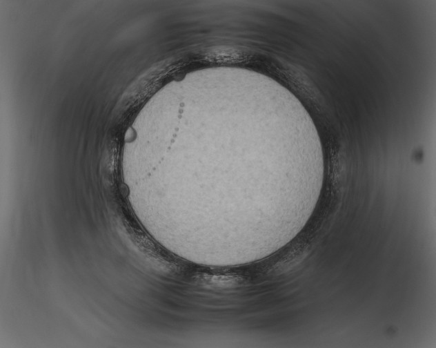 X0000116580645200912312015