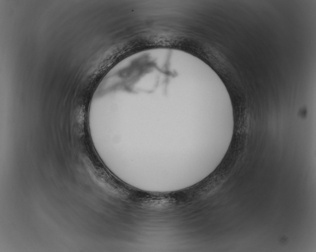 X0000116580646200912312015