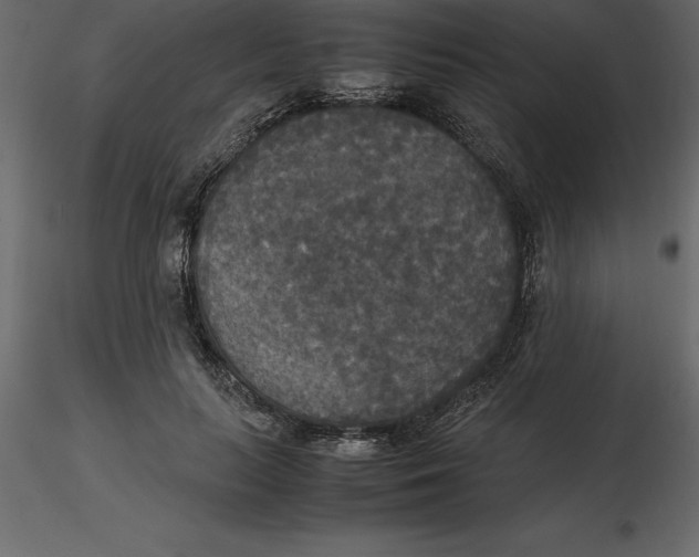 X0000116580647200912312015