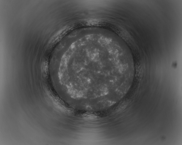 X0000116580648200912312015