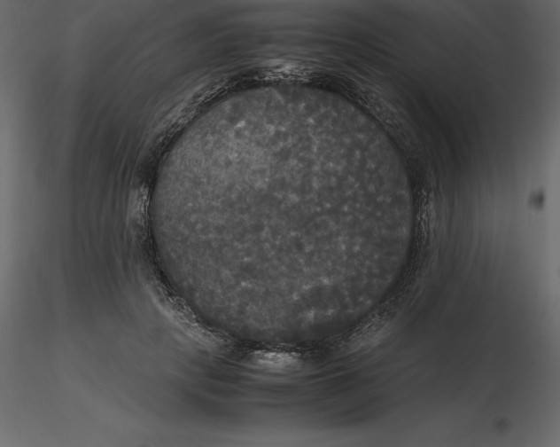 X0000116580649200912312015