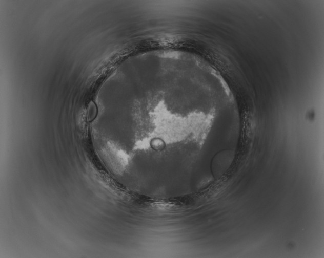 X0000116580650200912312015