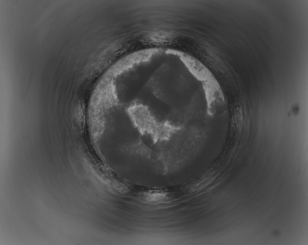 X0000116580651200912312015