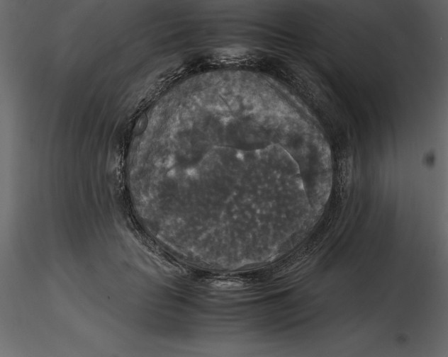 X0000116580653200912312015