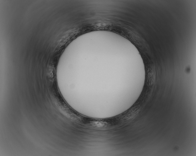 X0000116580654200912312015