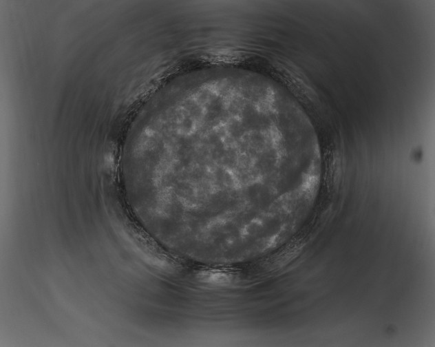 X0000116580655200912312015