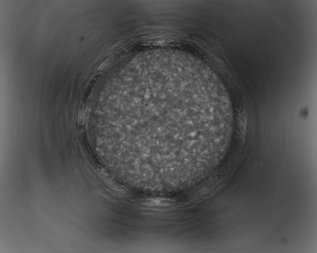 X0000116580657200912312016