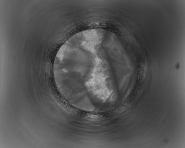 X0000116580659200912312016