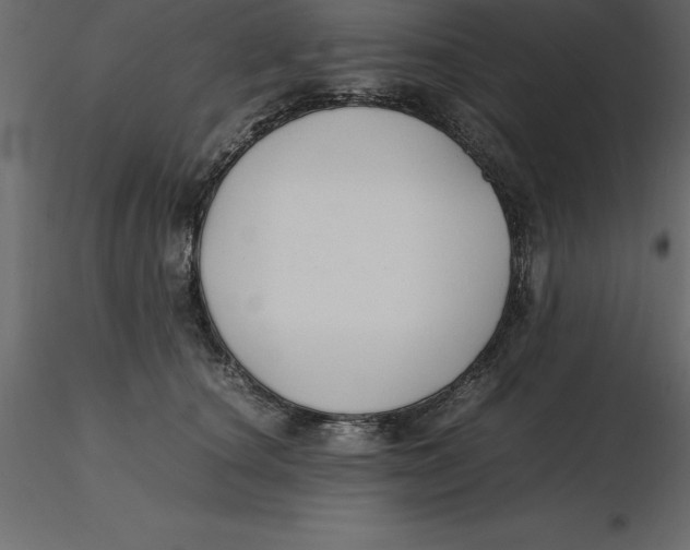 X0000116580660200912312016