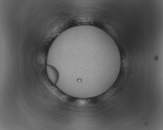 X0000116580662200912312016