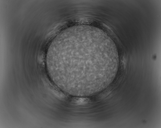 X0000116580663200912312016