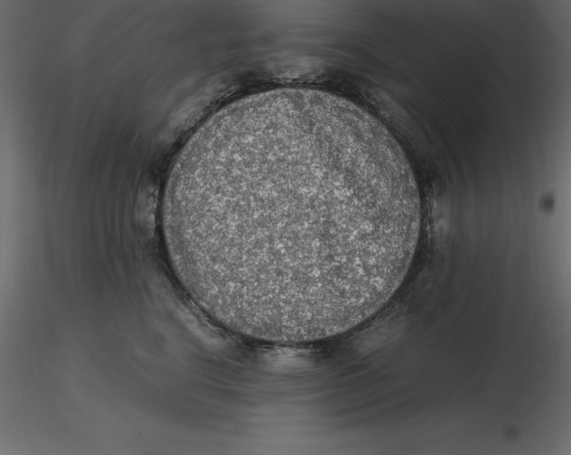 X0000116580664200912312016