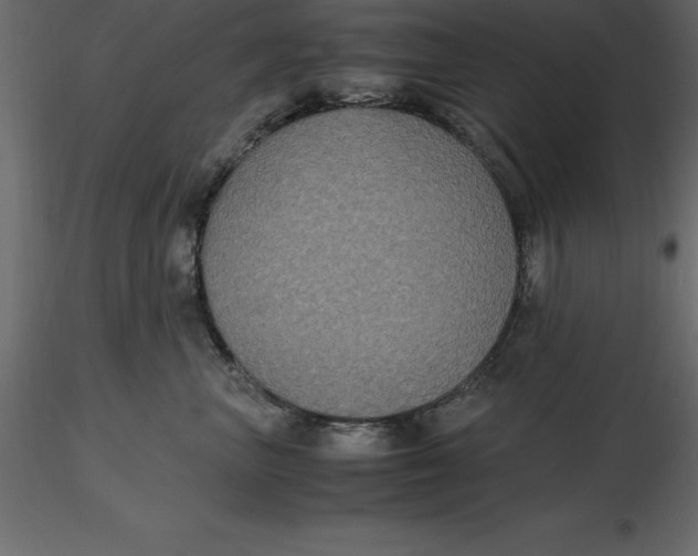 X0000116580667200912312016