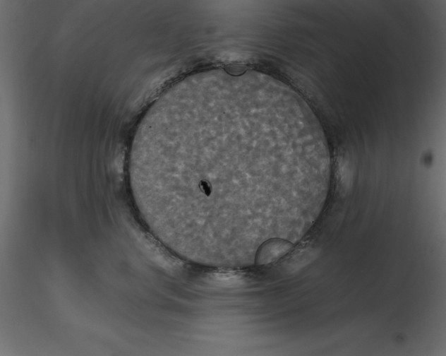 X0000116580668200912312016