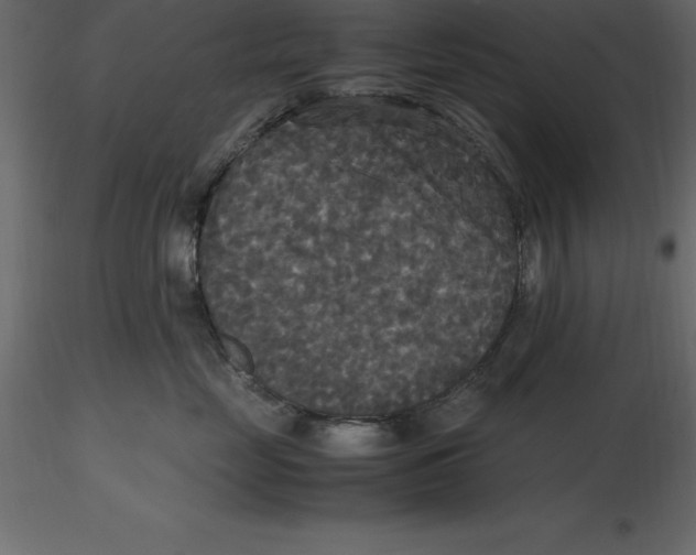 X0000116580669200912312016