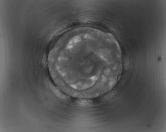 X0000116580670200912312016