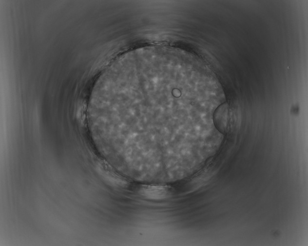 X0000116580671200912312016