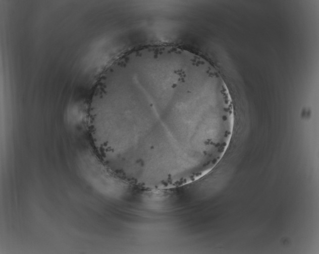 X0000116580672200912312016