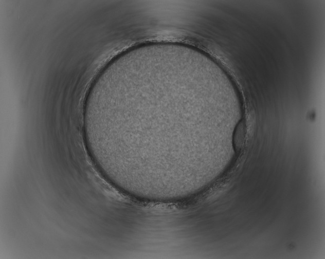 X0000116580673200912312015