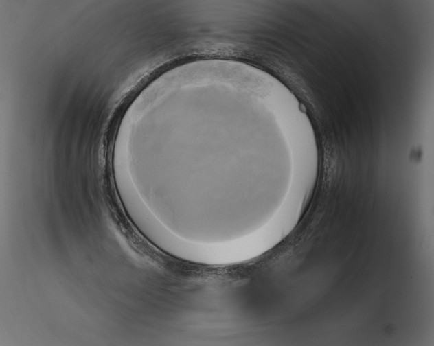 X0000116580674200912312015