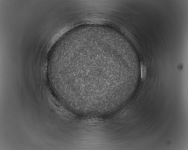 X0000116580675200912312015