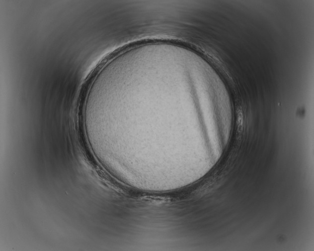 X0000116580676200912312015