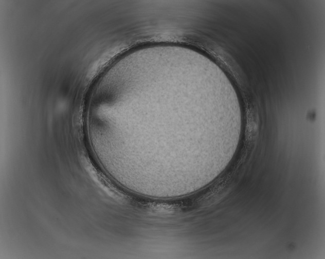 X0000116580677200912312015