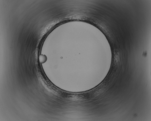 X0000116580678200912312015