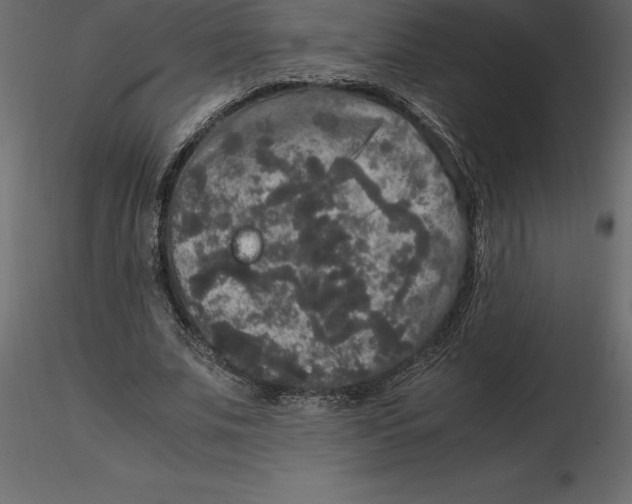 X0000116580679200912312015