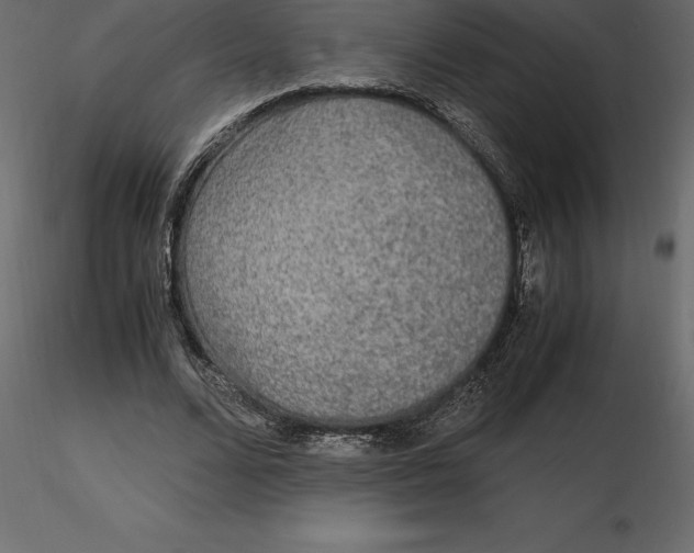 X0000116580680200912312015