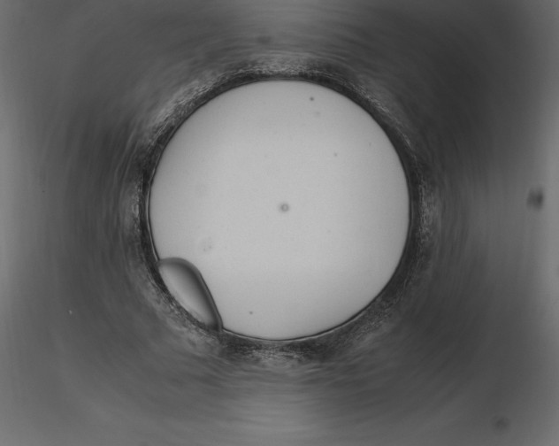 X0000116580681200912312015