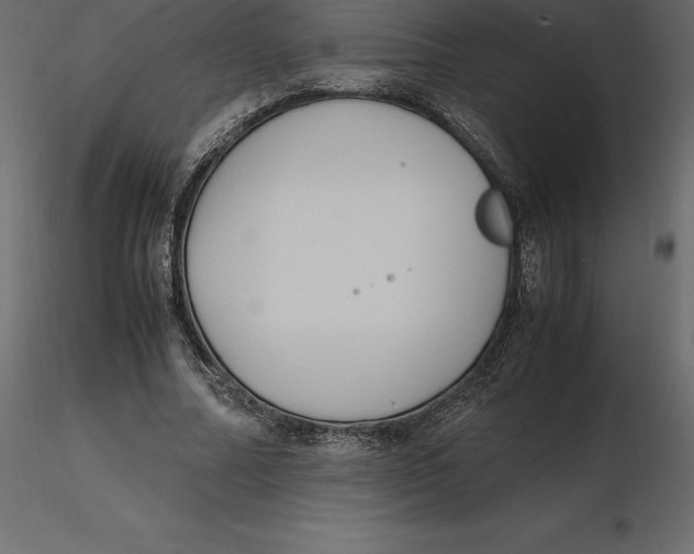 X0000116580682200912312015