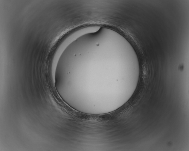 X0000116580684200912312015