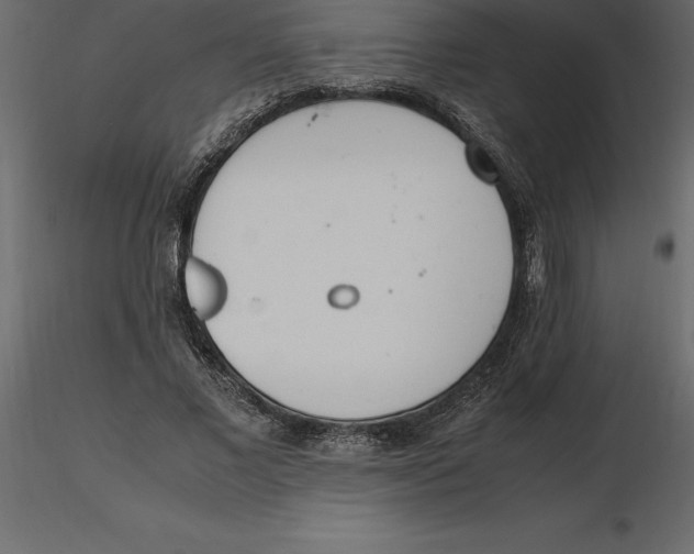 X0000116580685200912312015