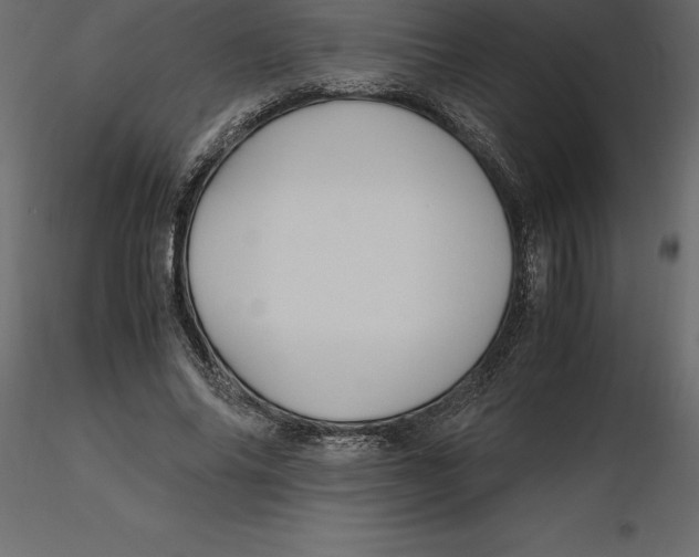 X0000116580686200912312015