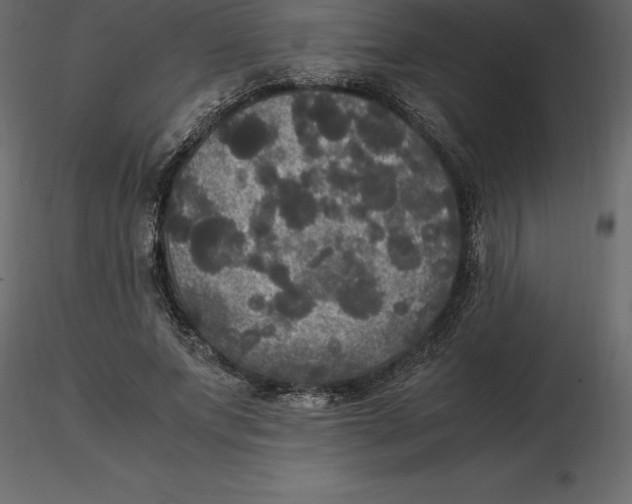 X0000116580687200912312015