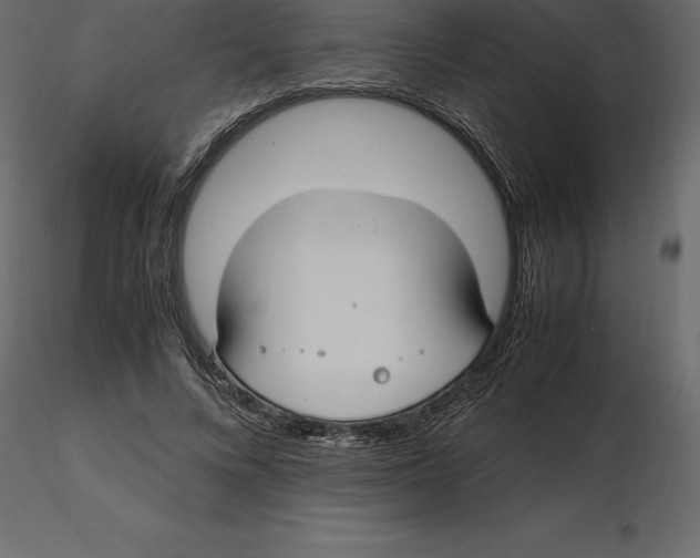 X0000116580688200912312015