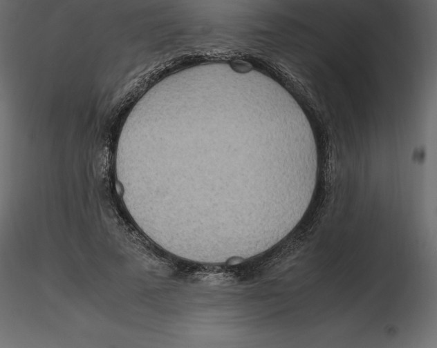 X0000116580689200912312015