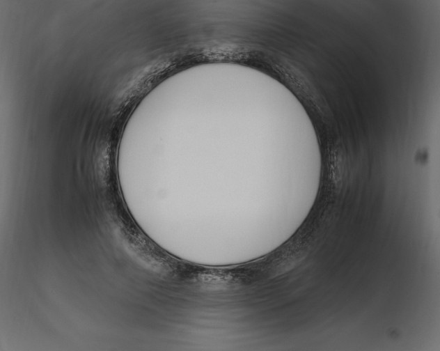 X0000116580690200912312015