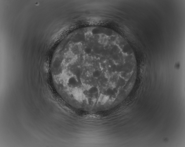 X0000116580691200912312015