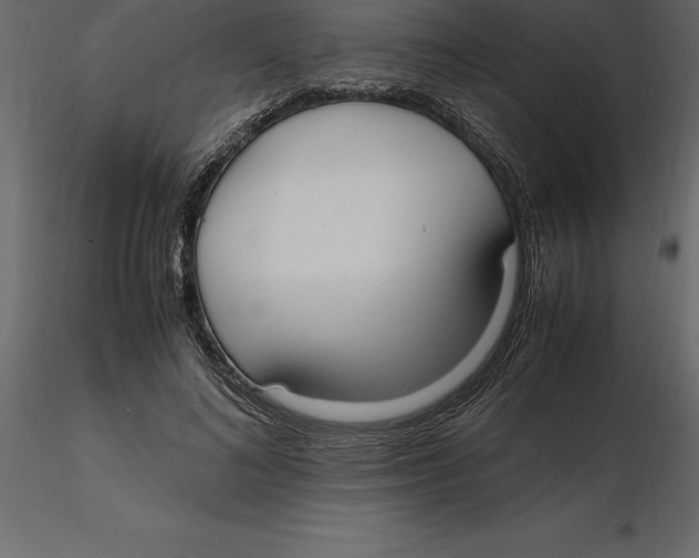 X0000116580692200912312015