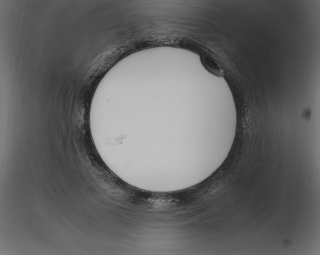 X0000116580693200912312015